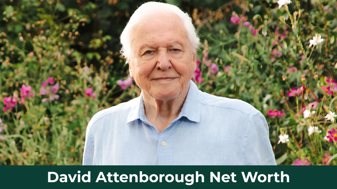 David Attenborough Net Worth